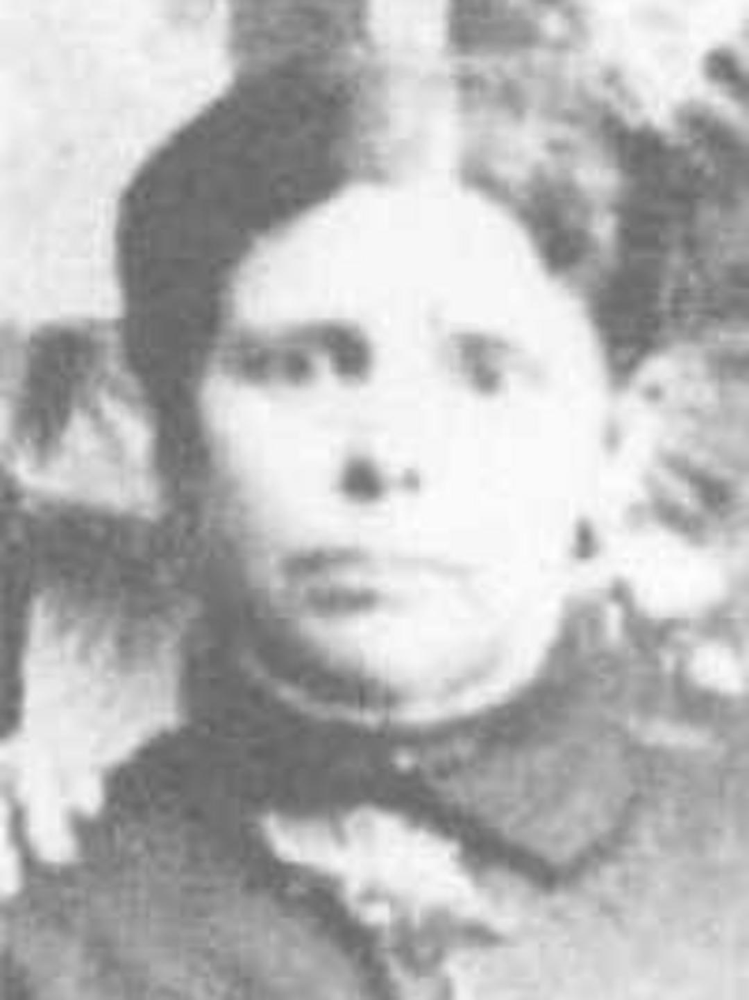 Martha Jane Mecham (1852 - 1927) Profile